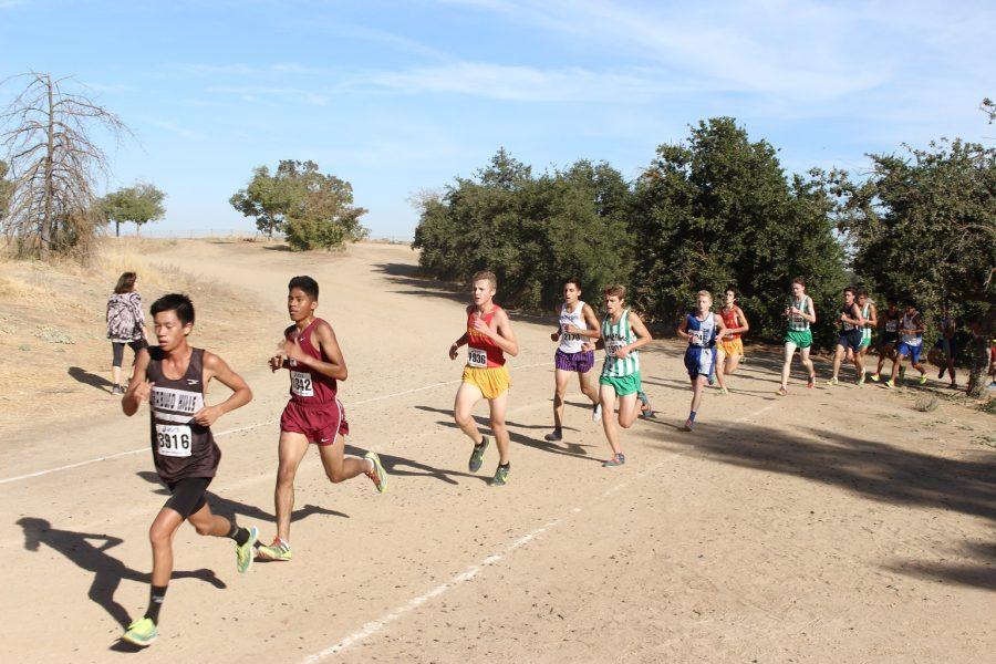 Cross Country looks ahead to state finals